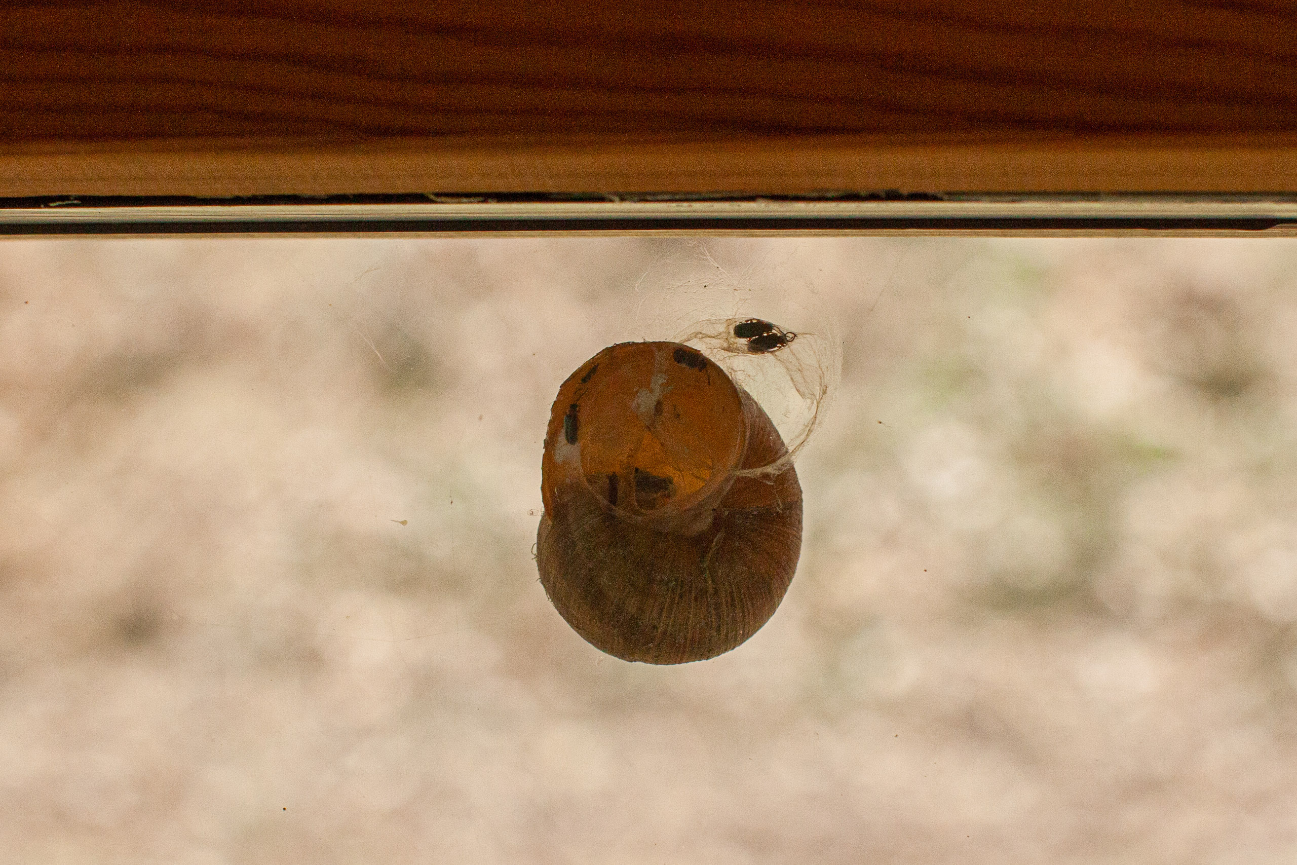 20110313144254 IMG 7342